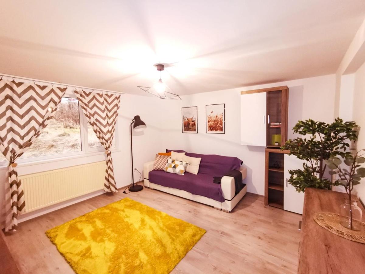 105500 Apartment Busteni Exterior photo
